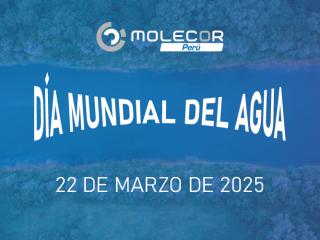 Día Mundial del agua