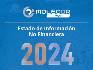 Molecor continua con su estrategia empresarial y presenta su Memoria de Sostenibilidad 2024