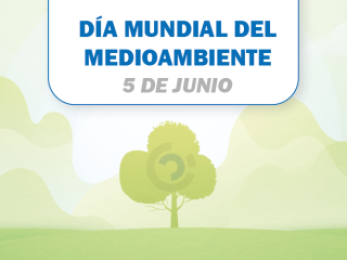 Molecor Perú refuerza su compromiso con el medioambiente en el Día Mundial del Medio Ambiente Molecor Perú refuerza su compromiso con el medioambiente en el Día Mundial del Medio Ambiente